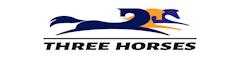 Shenyang Three Horses Technology Co., Ltd.